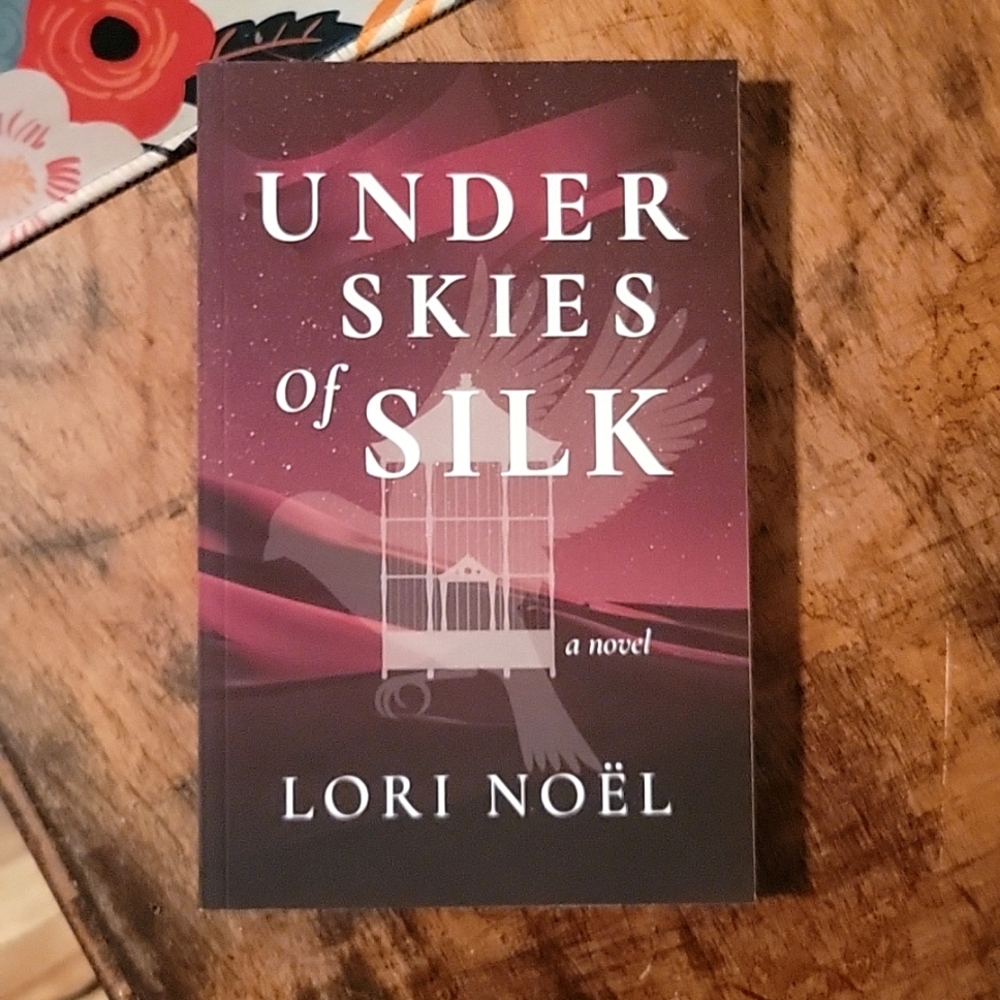 Under Skies of Silk book historical fiction